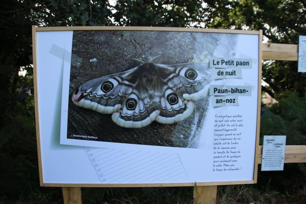 Vila La Petite Bretonne Plounerin Exteriér fotografie