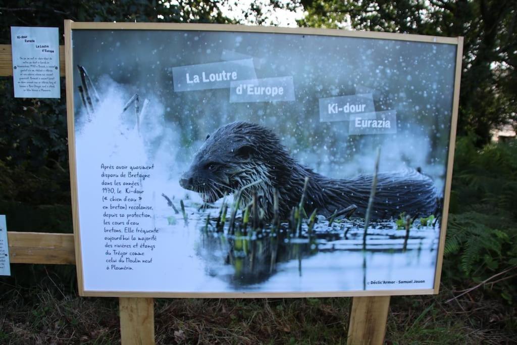 Vila La Petite Bretonne Plounerin Exteriér fotografie