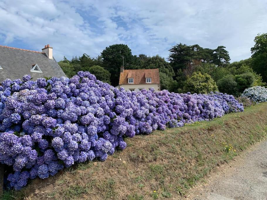 Vila La Petite Bretonne Plounerin Exteriér fotografie