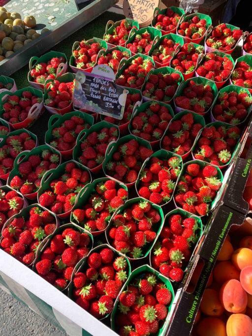 Vila La Petite Bretonne Plounerin Exteriér fotografie